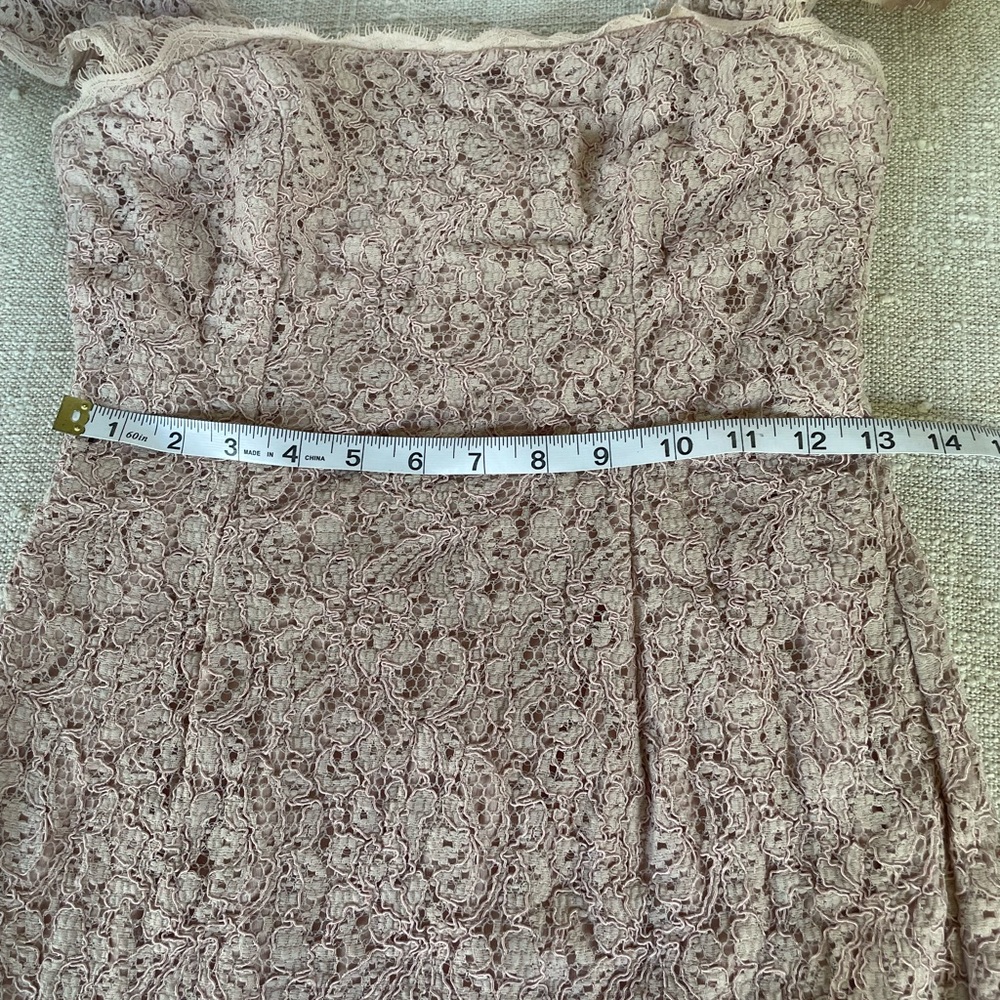 Adrianna Papell Strapless Lace Dress in Soft Pink